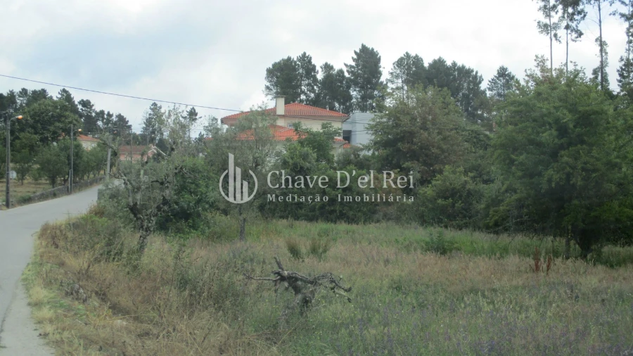 Terreno para Venda em Santos Evos Foto 12