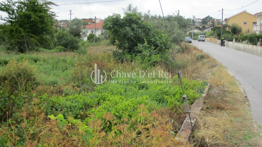 Terreno para Venda em Santos Evos Foto 5