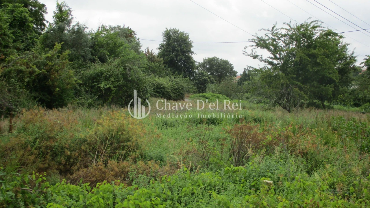 Terreno para Venda em Santos Evos Foto 9