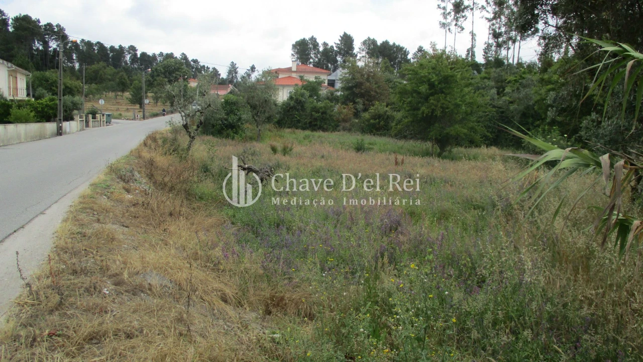 Terreno para Venda em Santos Evos Foto 2