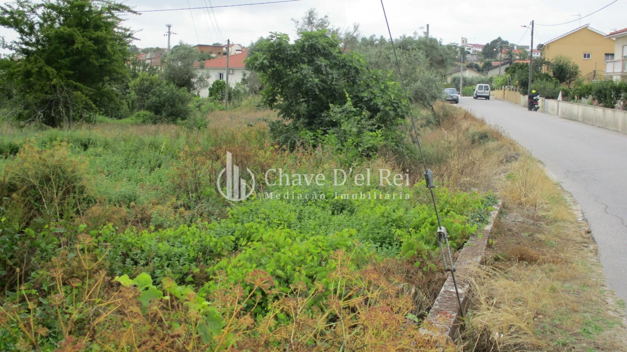 Terreno para Venda em Santos Evos Foto 5