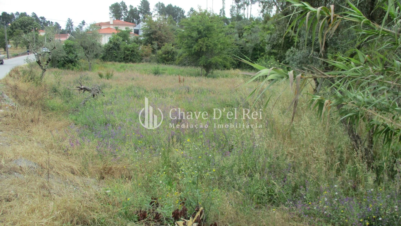 Terreno para Venda em Santos Evos Foto 3