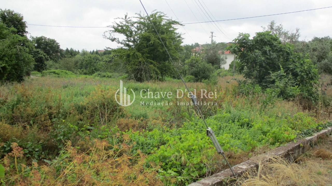 Terreno para Venda em Santos Evos Foto 6