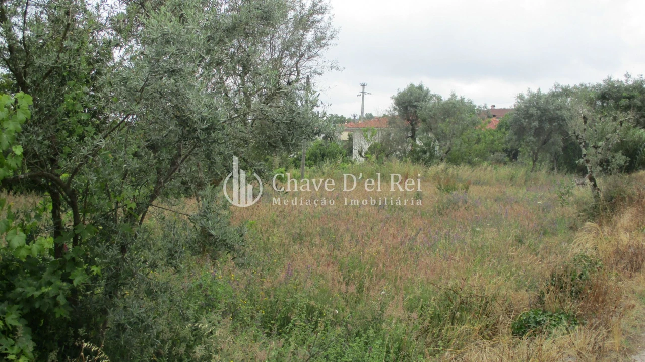 Terreno para Venda em Santos Evos Foto 4