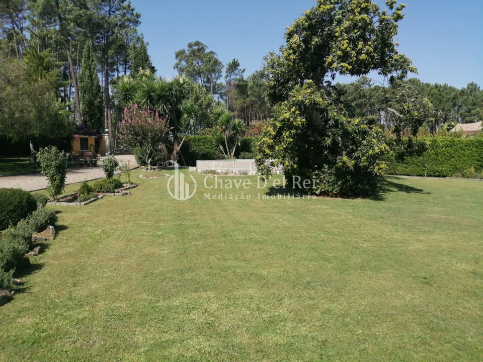 Quinta T8 para Venda em Fornos de Maceira Dão Foto 35