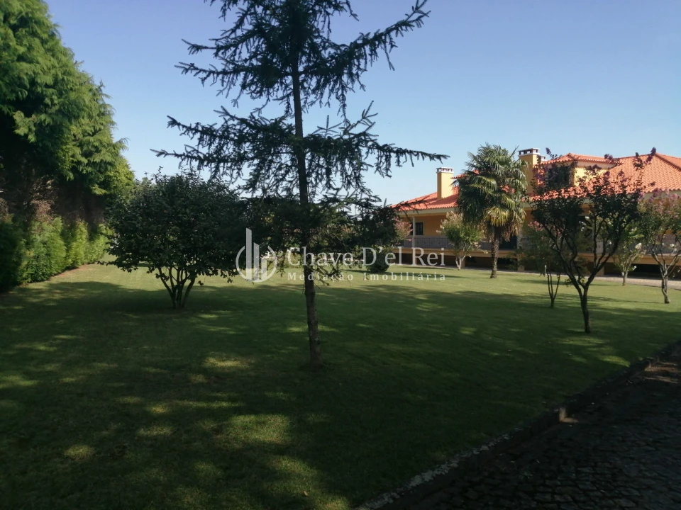 Quinta T8 para Venda em Fornos de Maceira Dão Foto 2