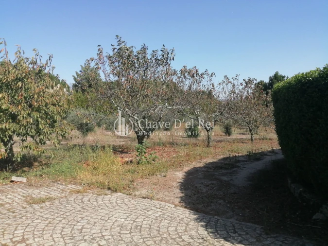 Quinta T8 para Venda em Fornos de Maceira Dão Foto 31