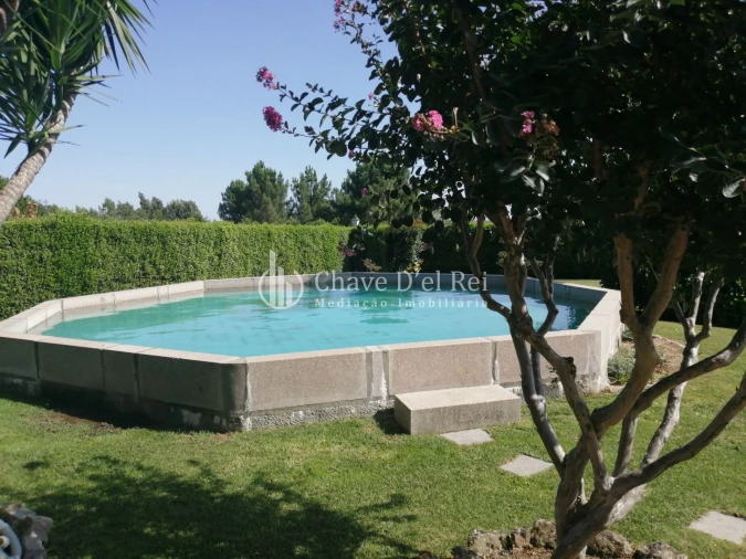 Quinta T8 para Venda em Fornos de Maceira Dão Foto 32