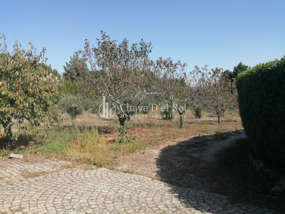 Quinta T8 para Venda em Fornos de Maceira Dão Foto 31