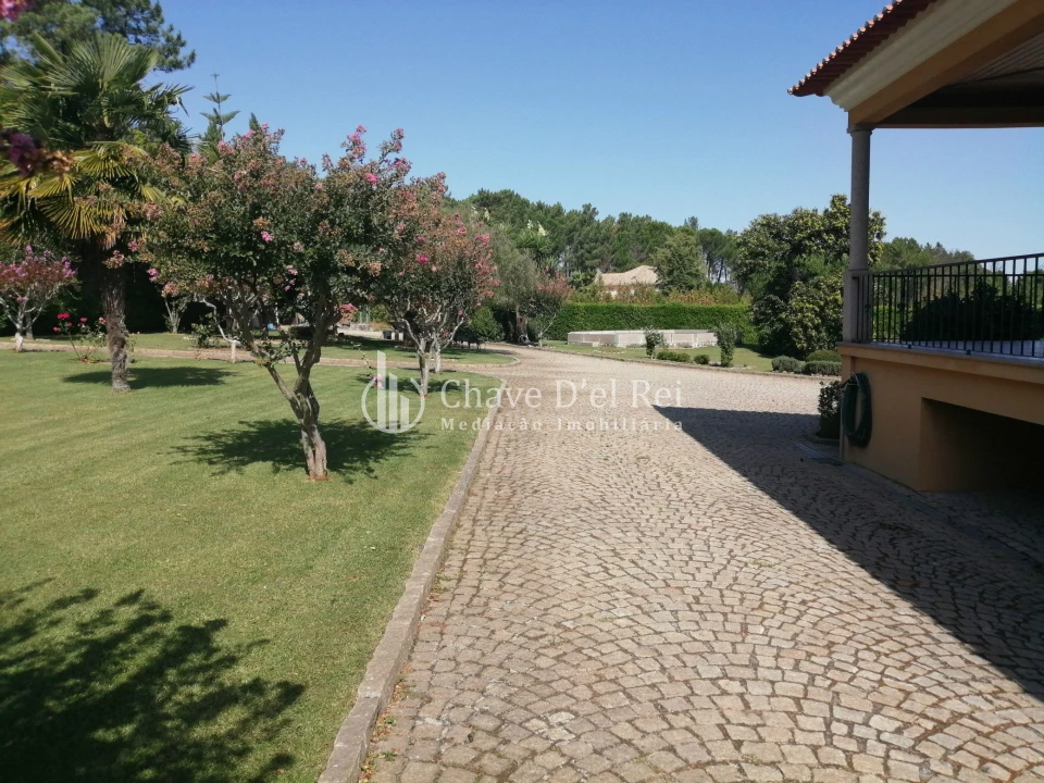Quinta T8 para Venda em Fornos de Maceira Dão Foto 29