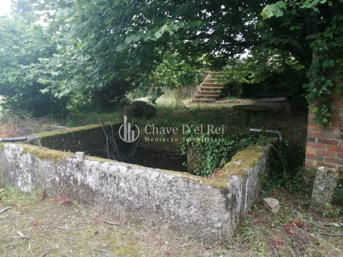 Quinta T3 para Venda em Silgueiros Foto 18