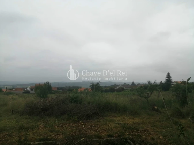 Quinta T3 para Venda em Silgueiros Foto 6