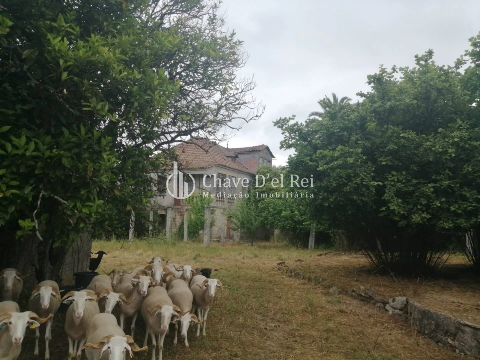 Quinta T3 para Venda em Silgueiros Foto 14