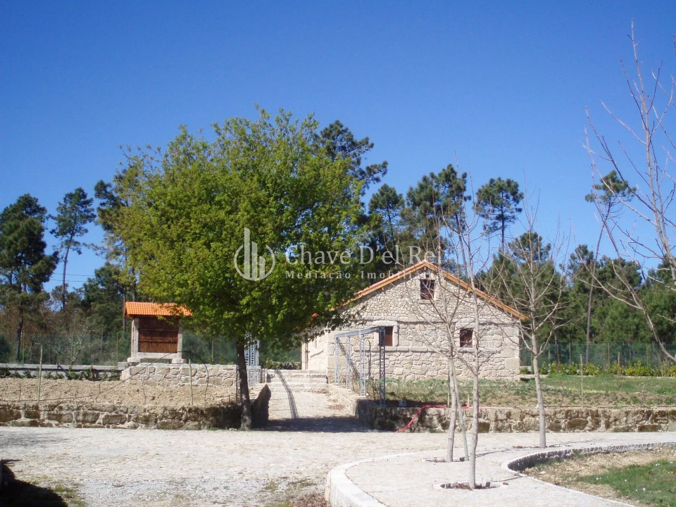 Quinta T0 para Venda em Bodiosa Foto 7