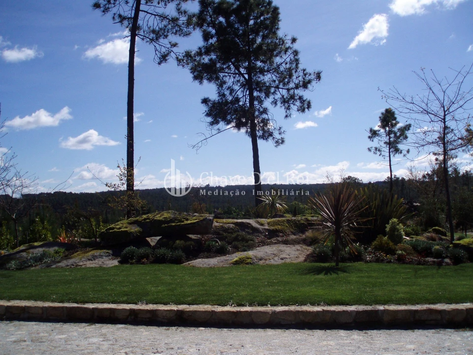 Quinta T0 para Venda em Bodiosa Foto 10