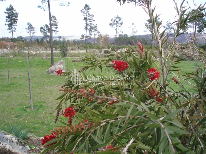 Quinta T0 para Venda em Bodiosa Foto 11