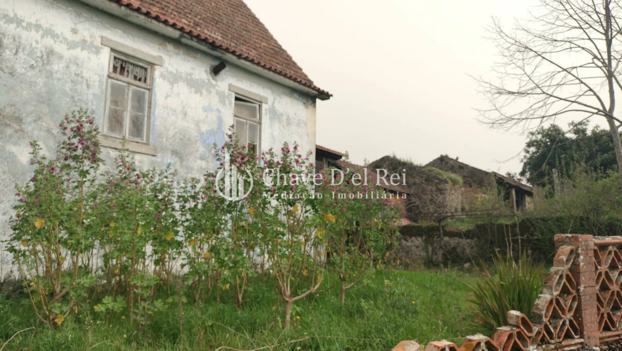 Quinta T5 para Venda em Fornos de Maceira Dão Foto 48