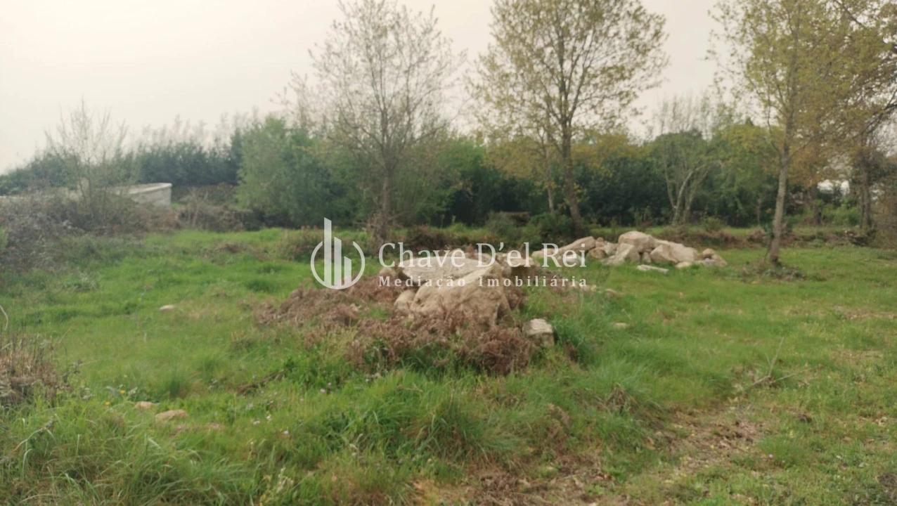 Quinta T5 para Venda em Fornos de Maceira Dão Foto 27