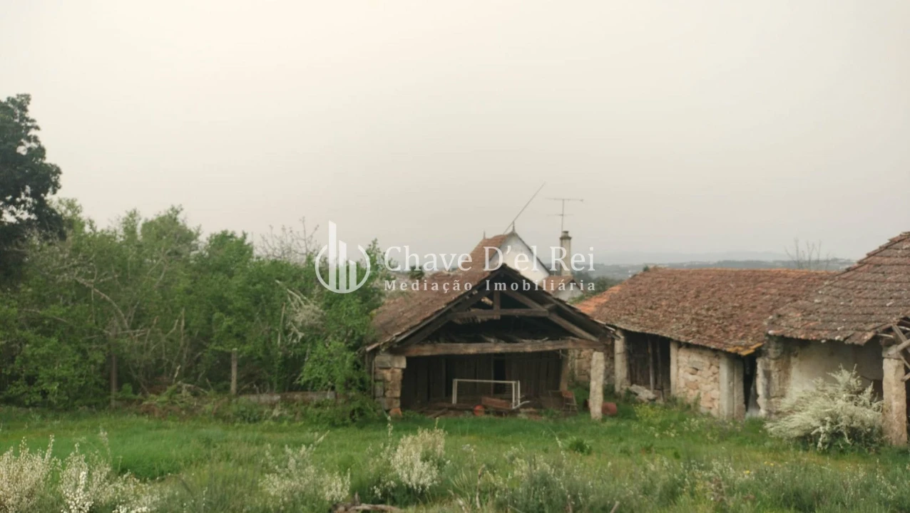 Quinta T5 para Venda em Fornos de Maceira Dão Foto 47