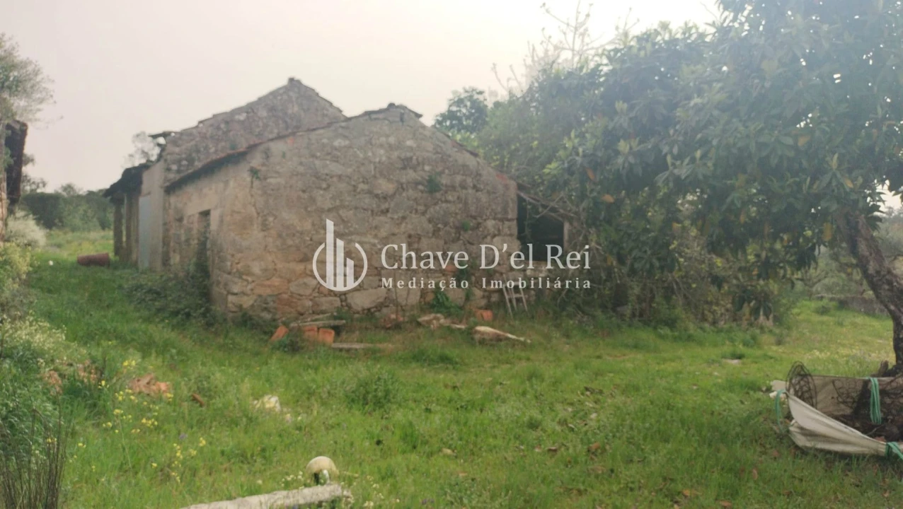 Quinta T5 para Venda em Fornos de Maceira Dão Foto 62