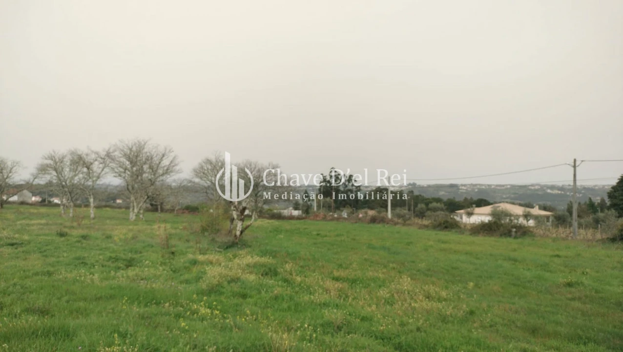 Quinta T5 para Venda em Fornos de Maceira Dão Foto 34