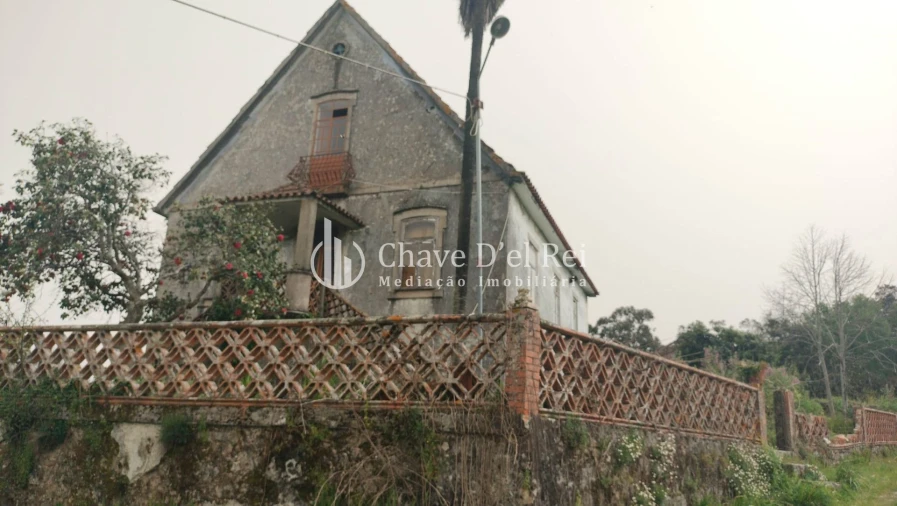 Quinta T5 para Venda em Fornos de Maceira Dão Foto 11