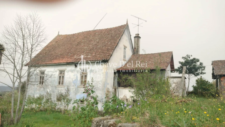 Quinta T5 para Venda em Fornos de Maceira Dão Foto 8