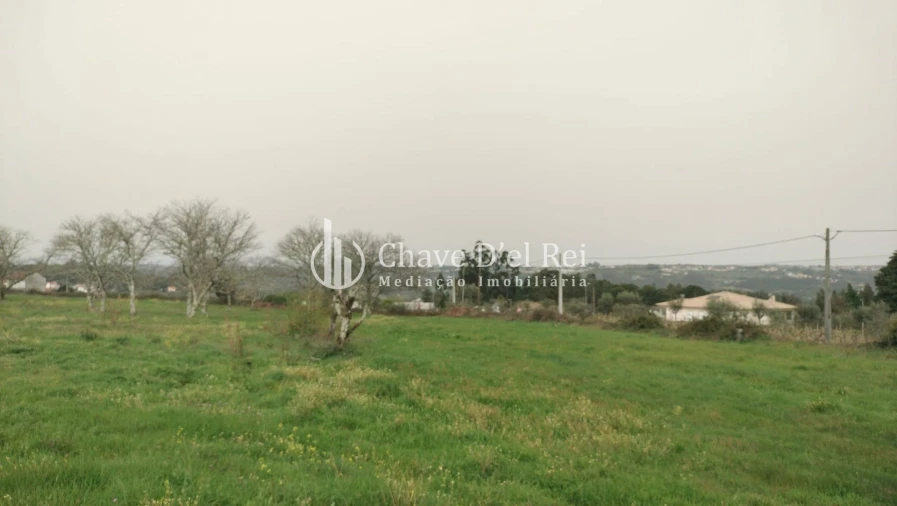 Quinta T5 para Venda em Fornos de Maceira Dão Foto 34