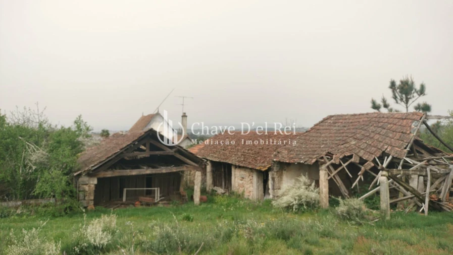 Quinta T5 para Venda em Fornos de Maceira Dão Foto 49