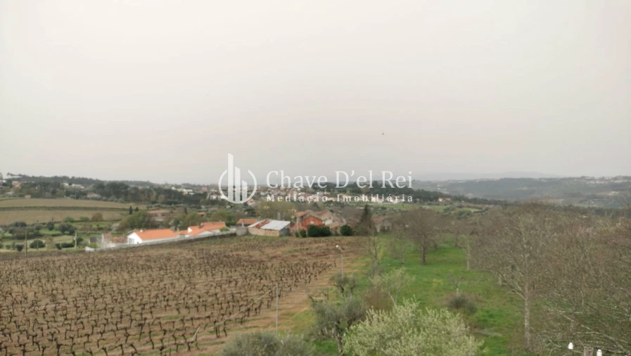 Quinta T5 para Venda em Fornos de Maceira Dão Foto 58