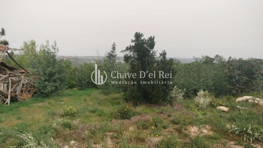 Quinta T5 para Venda em Fornos de Maceira Dão Foto 59