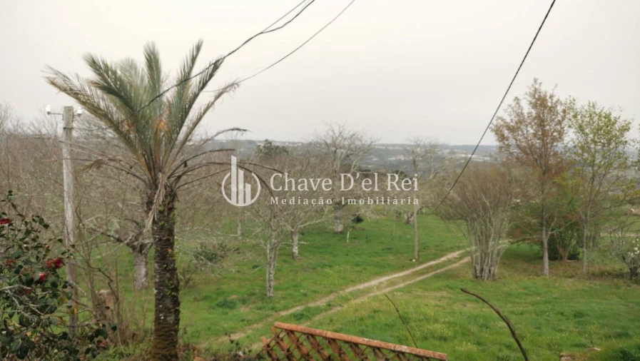 Quinta T5 para Venda em Fornos de Maceira Dão Foto 38