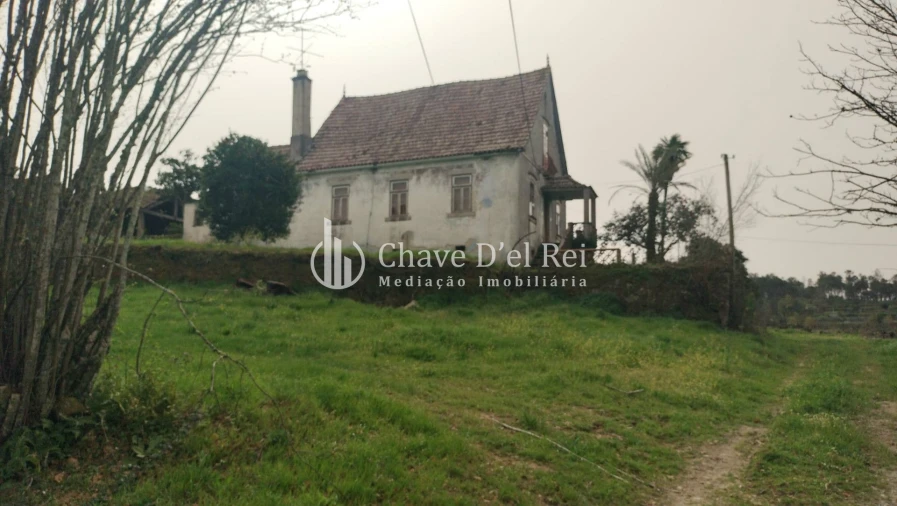 Quinta T5 para Venda em Fornos de Maceira Dão Foto 10