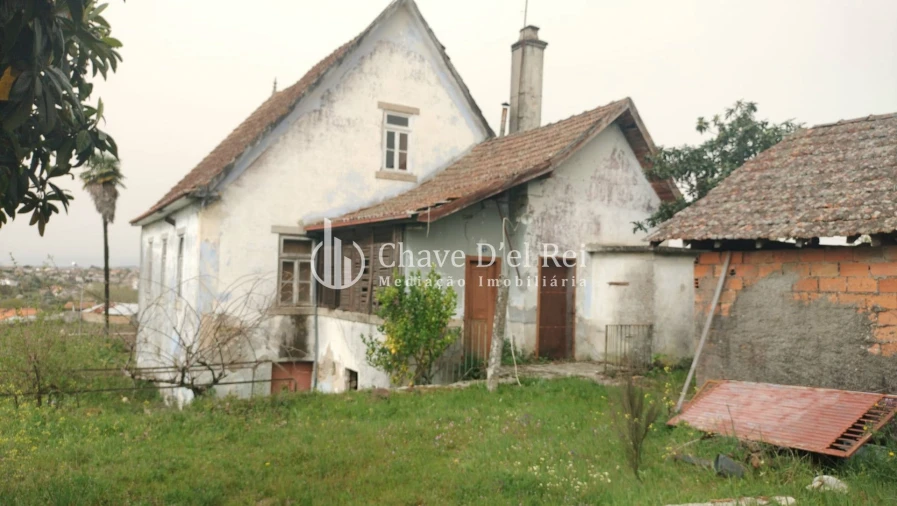 Quinta T5 para Venda em Fornos de Maceira Dão