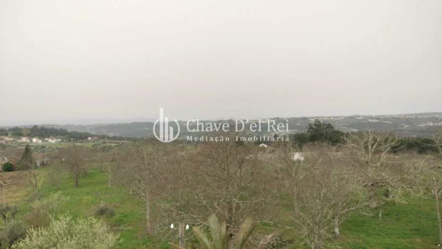 Quinta T5 para Venda em Fornos de Maceira Dão Foto 46