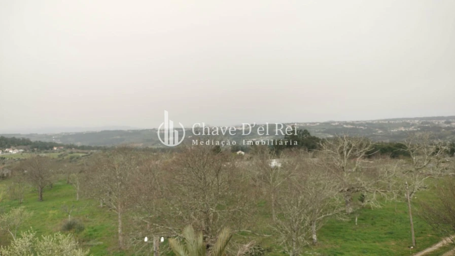 Quinta T5 para Venda em Fornos de Maceira Dão Foto 28