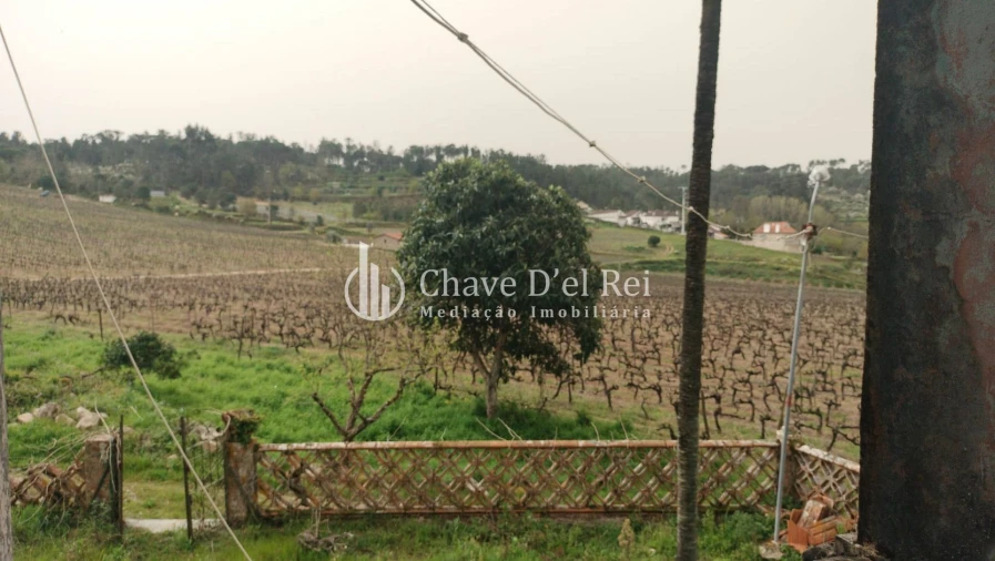 Quinta T5 para Venda em Fornos de Maceira Dão Foto 23