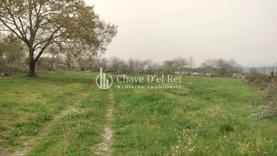 Quinta T5 para Venda em Fornos de Maceira Dão Foto 21