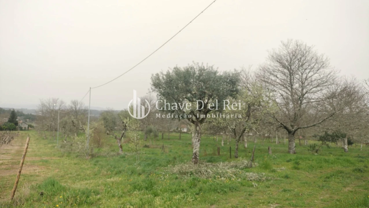 Quinta T5 para Venda em Fornos de Maceira Dão Foto 32