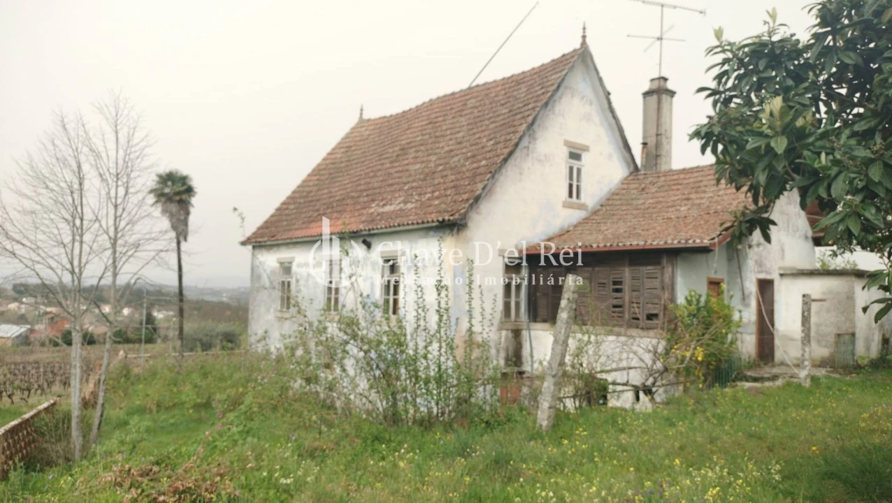 Quinta T5 para Venda em Fornos de Maceira Dão Foto 64