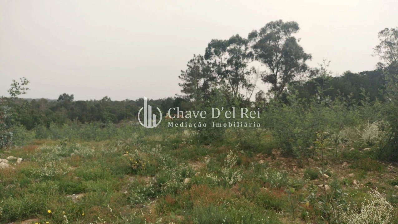 Quinta T5 para Venda em Fornos de Maceira Dão Foto 61