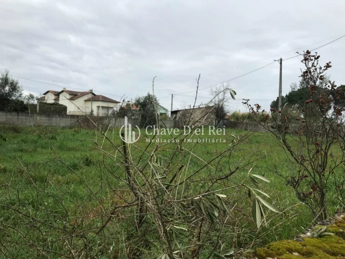 Moradia T3 para Venda em Espinho Foto 25