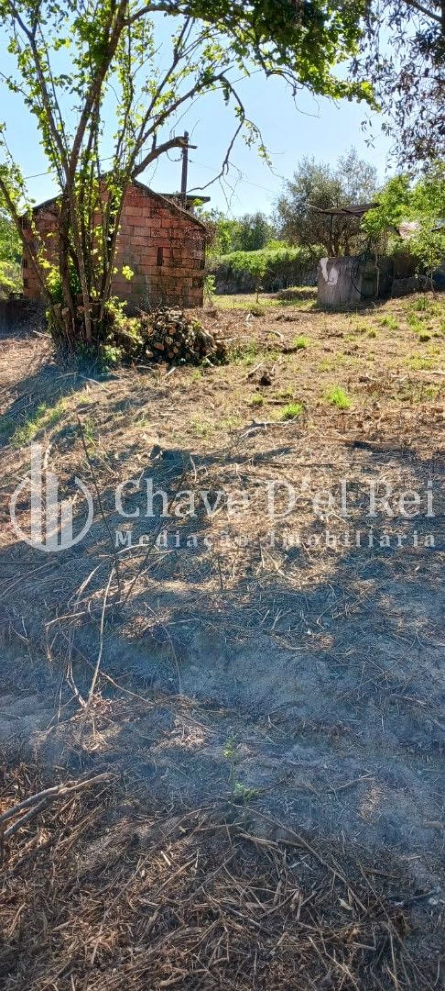 Quinta T0 para Venda em São Miguel do Mato Foto 6