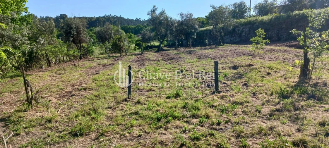 Quinta T0 para Venda em São Miguel do Mato Foto 8