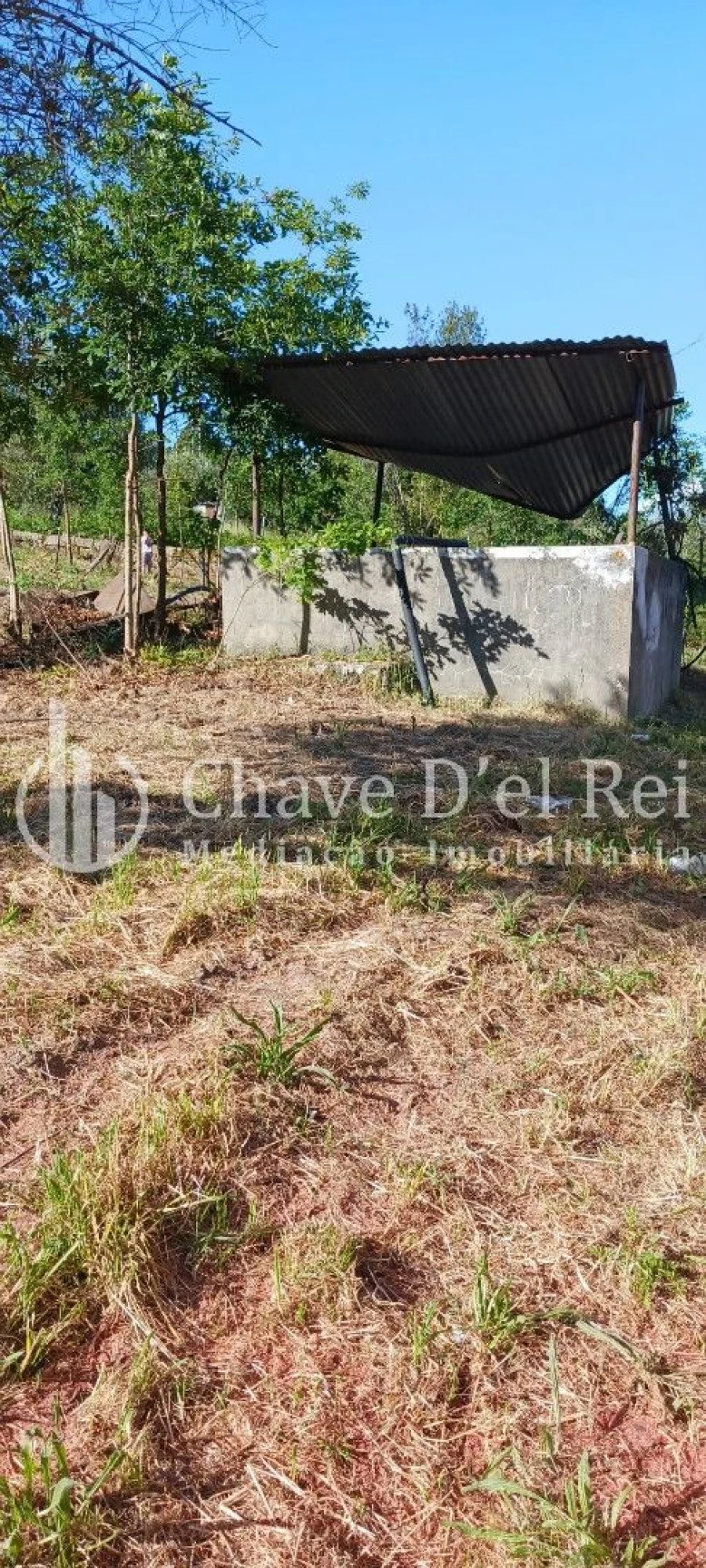 Quinta T0 para Venda em São Miguel do Mato Foto 7