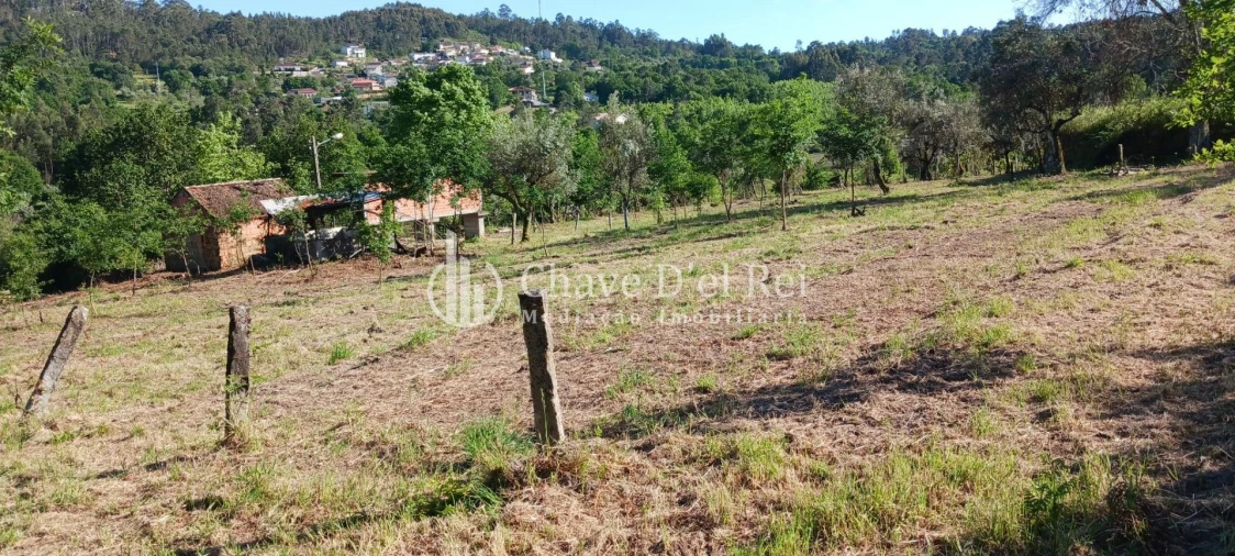 Quinta T0 para Venda em São Miguel do Mato Foto 2