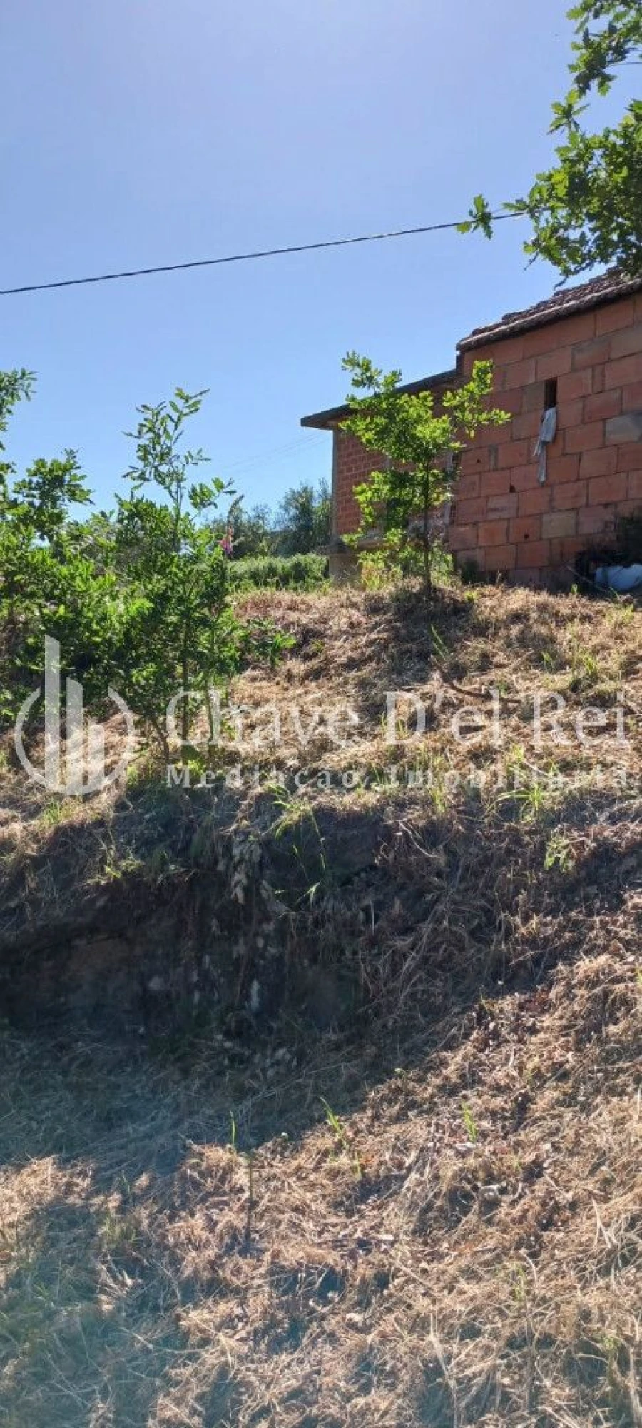 Quinta T0 para Venda em São Miguel do Mato Foto 4