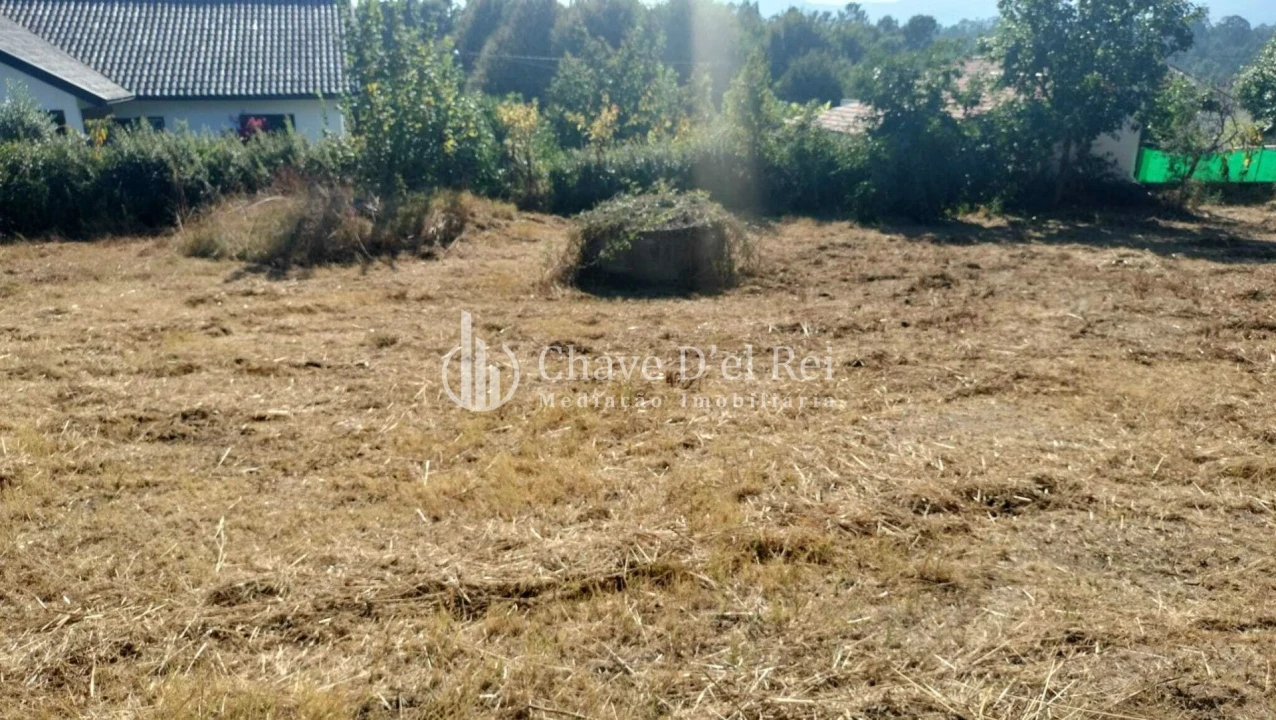 Terreno para Venda em Vilar de Besteiros e Mosteiro de Fráguas Foto 10