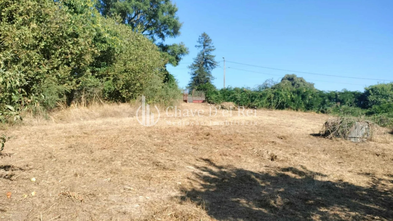 Terreno para Venda em Vilar de Besteiros e Mosteiro de Fráguas Foto 7