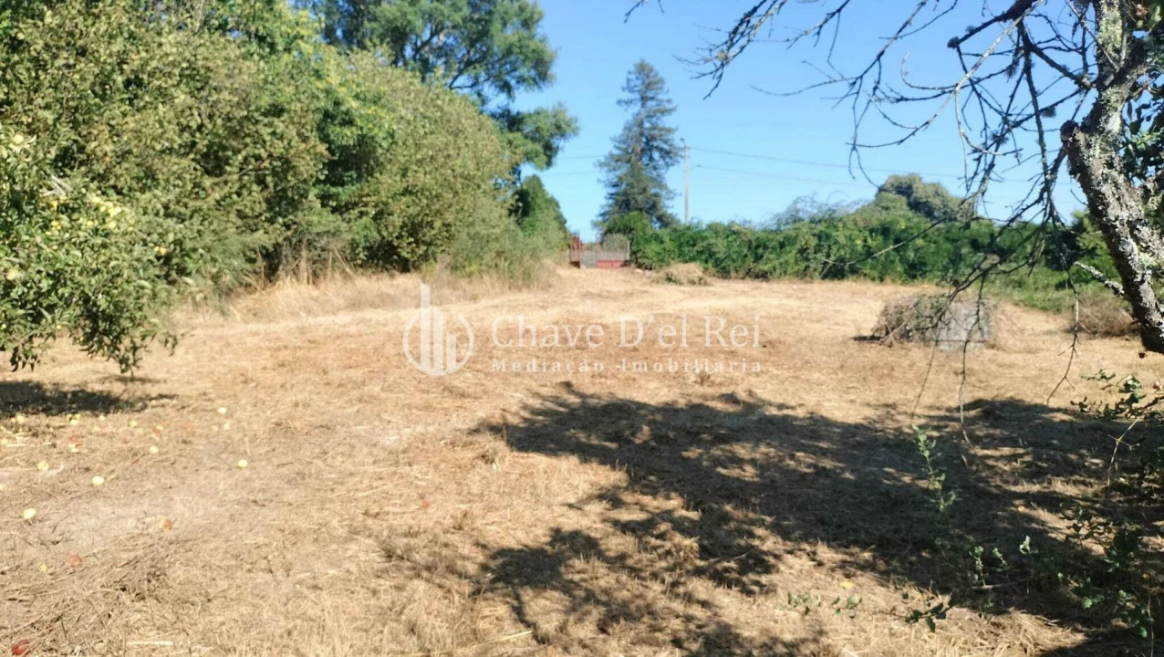 Terreno para Venda em Vilar de Besteiros e Mosteiro de Fráguas Foto 3